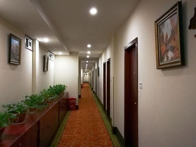 Greentree Inn Jiangsu Nanjing South Railway Station South Square Express Hotel Exterior foto